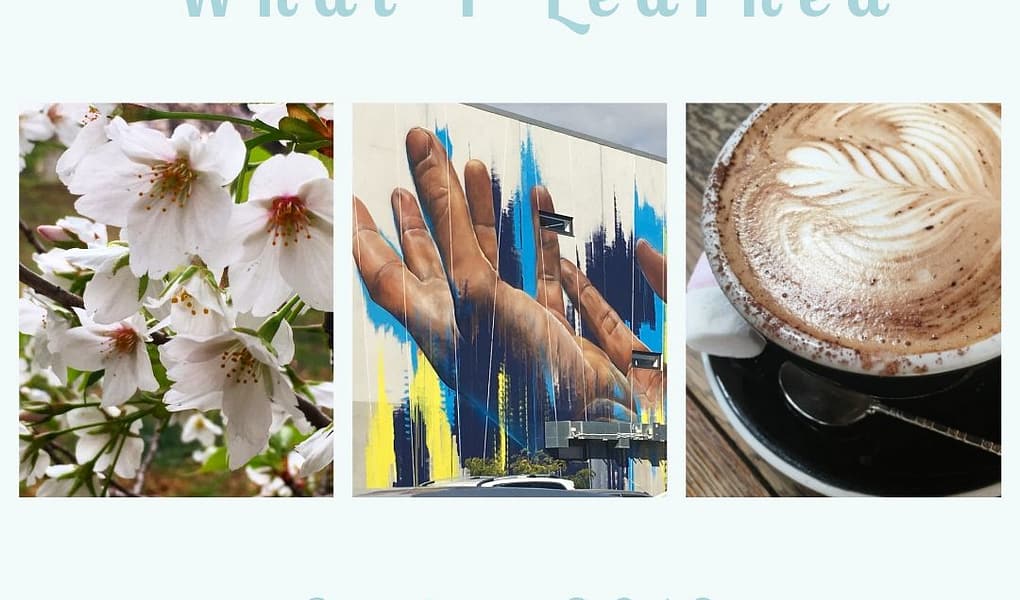 What I Learned Spring 2019