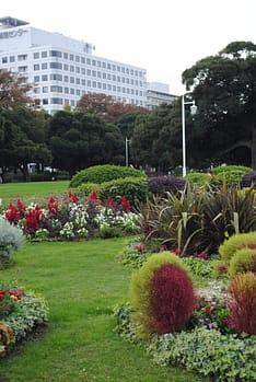 Lush green gardens and color flowers in Yamashita park, with buildings in the background