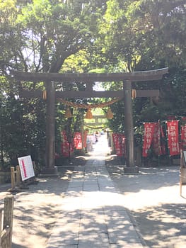 Large wooden torii gates mark the entrance to the shrine