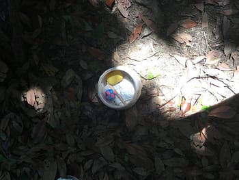 A small round container with tiny objects sits open on the ground