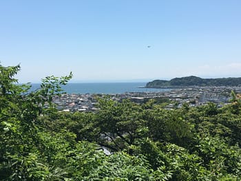 A view of sagami bay through the treetops