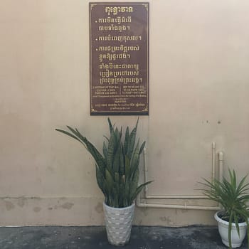 A potted plant sits below a Buddhist saying in Tuol Sleng
