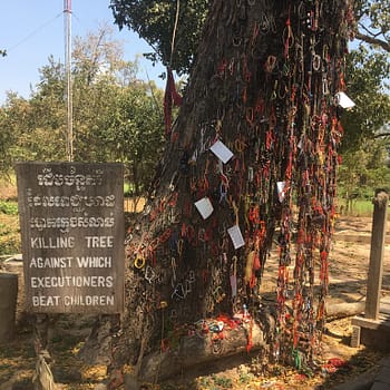 A tree decorated with woven bracelets, necklaces, and small slips of paper memorize the spot where children were killed by the Khmer Rouge
