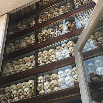 Rows of skulls behind glass cases are stacked at least 10 feet tall