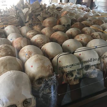 Rows of skulls are lined up behind glass cases
