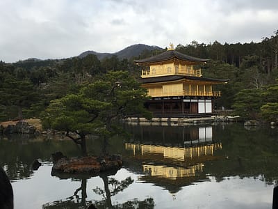 Kinkaku-ji, a temple covered in gold leaf, sits on the banks of a pond. The image of the temple is reflected in the pond's still waters