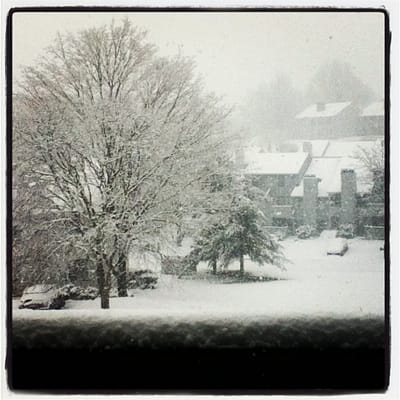 A snow-covered tree in front of buildings in winter