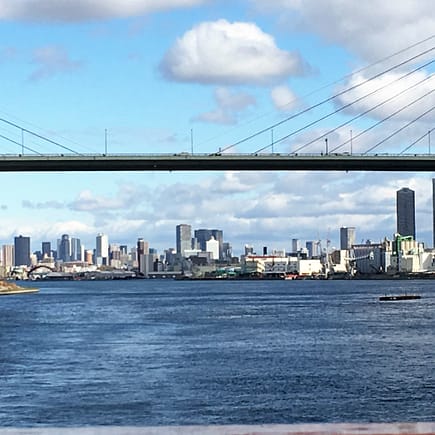 A view of the Osaka skyline from the Osaka bay. City buildings are in the background with water in the foreground.