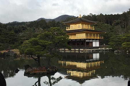 Kinkaku-ji, a temple covered in gold leaf, sits on the banks of a pond. The image of the temple is reflected in the pond's still waters