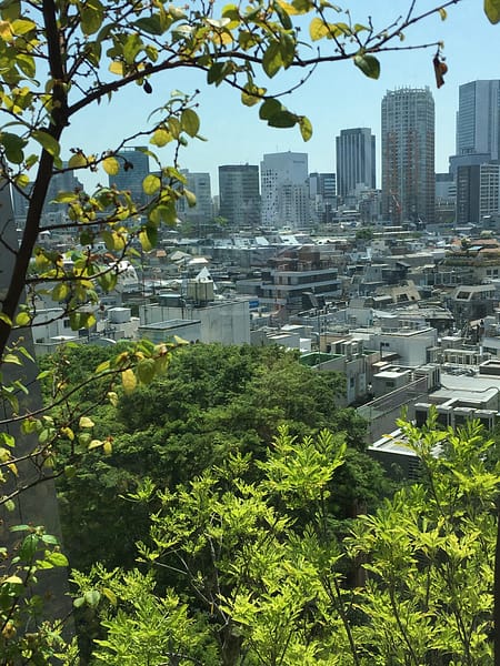 shrubbery and a tree frame the left side and lower part of the photograph. Through the trees you can see half a dozen high rise towers and other buildings of Tokyo