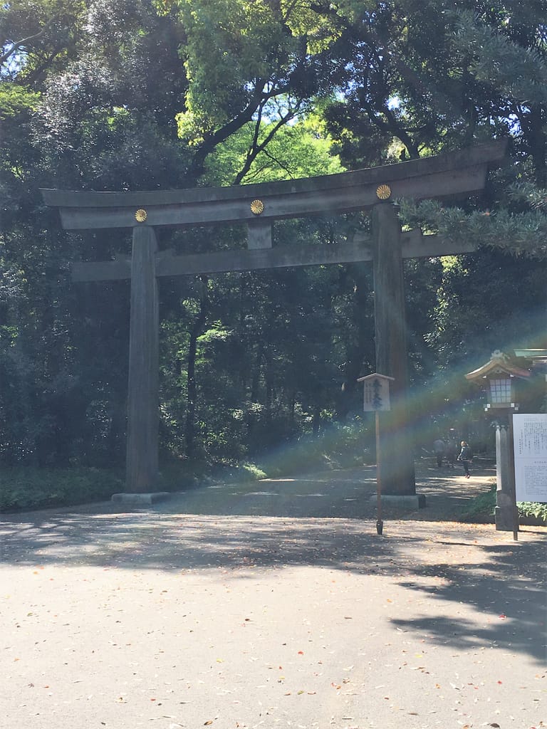 A large wooden torii surrounded by trees