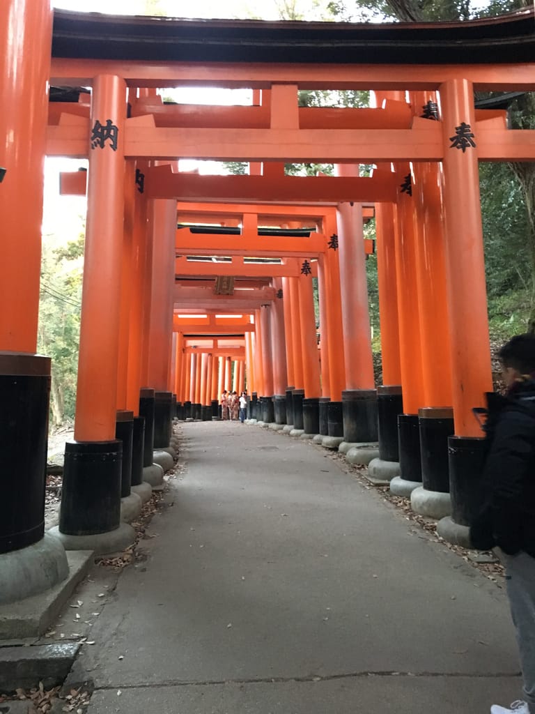 Hundreds of vermillion torii gates in a row at sunset