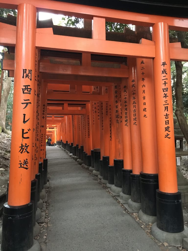 Hundreds of vermillion torii gates in a row. The back is inscribed with donor information